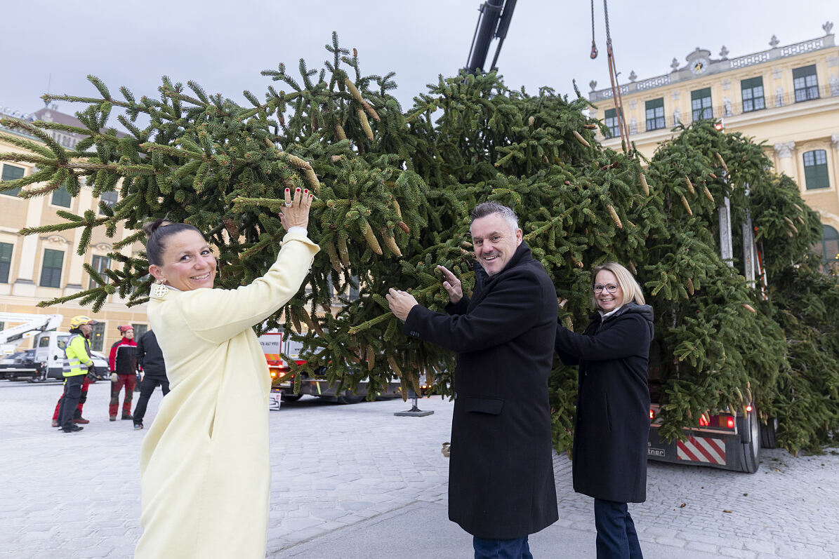 Ankunft Weihnachtsbaum in Schönbrunn (4)