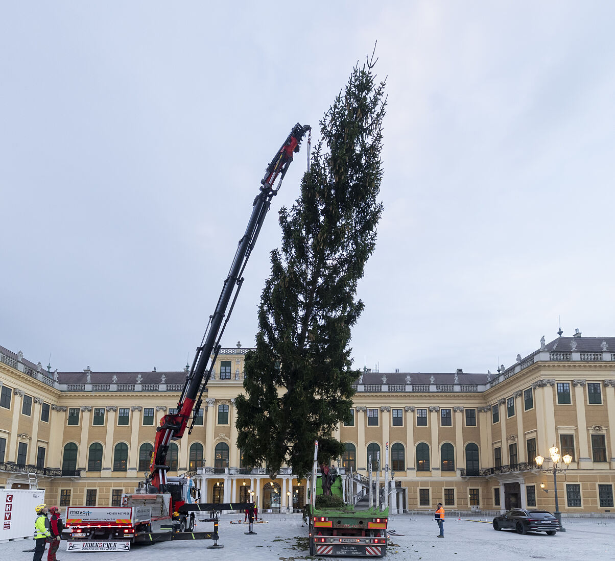 Ankunft Weihnachtsbaum in Schönbrunn (4)